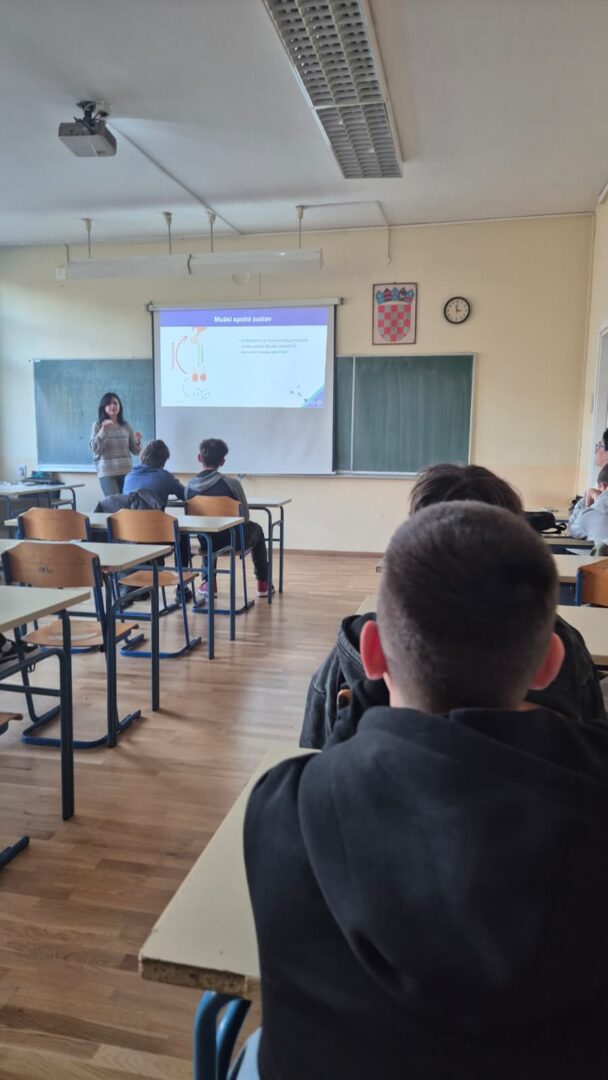 be5aea49-de7c-4311-b083-75a9c0b7fb30